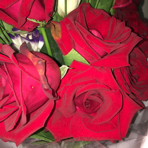 性视频一区二区三区
